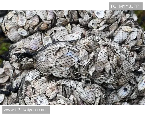 太阳报:前法国国门科斯蒂尔完结工作转型,如今是牡蛎饲养者 太阳报:前法国国门科斯蒂尔完结工作转型,如今是牡蛎饲养者